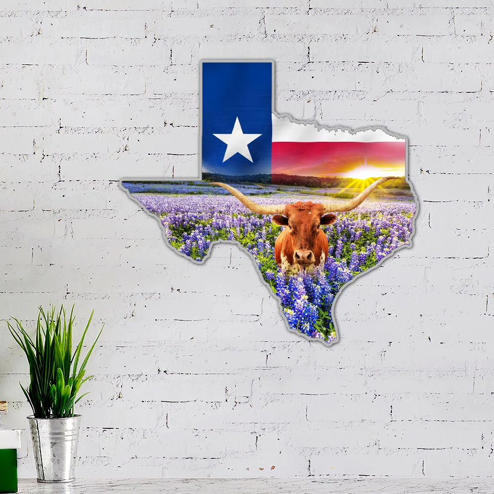 Texas Hanging Metal Sign Bright Star