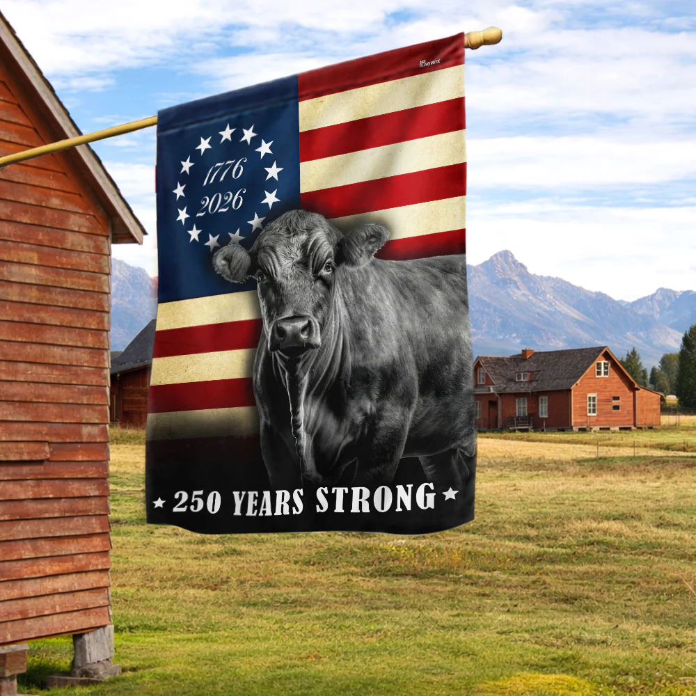 250 Years Strong Black Angus Cattle 1776 2026 Farmhouse Patriotic Decor
