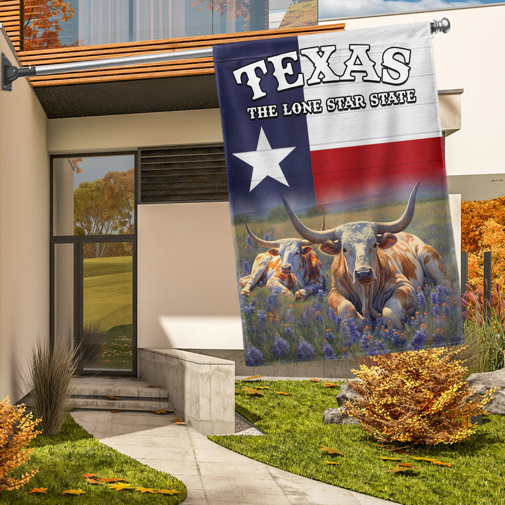 Texas Longhorn The Lone Star Flag - state flag