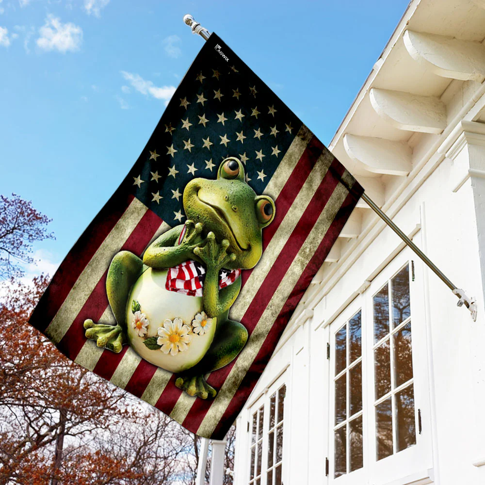 Frog American Flag