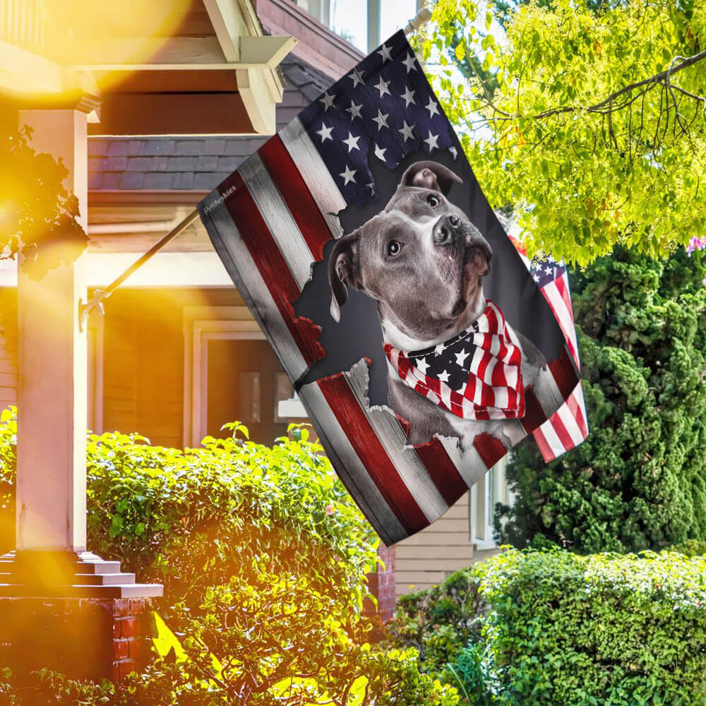Pit Bull American Flag